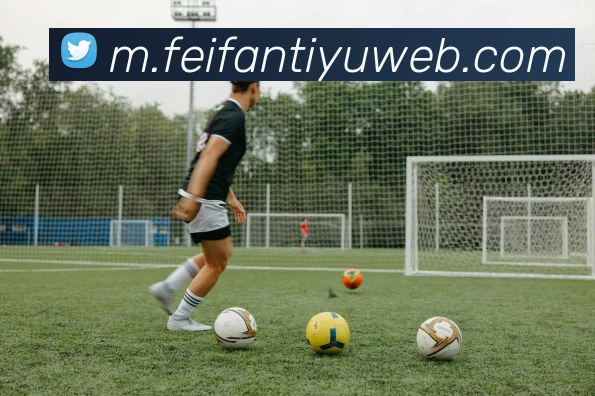 非凡体育平台生态图