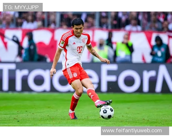 尤文图斯冬季引援计划锁定什克里尼亚尔和金玟哉两名后卫目标