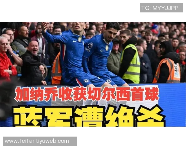 谢林汉姆：不建议加纳乔加盟切尔西的理由与看法